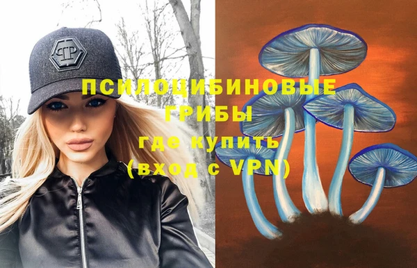 гидра Алексеевка